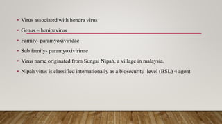 • Virus associated with hendra virus
• Genus – henipavirus
• Family- paramyoxiviridae
• Sub family- paramyoxivirinae
• Virus name originated from Sungai Nipah, a village in malaysia.
• Nipah virus is classified internationally as a biosecurity level (BSL) 4 agent
 