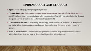 EPIDEMIOLOGY AND ETIOLOGY
• Agent: NiV is a highly pathogenic paramyxovirus.
• Natural Reservoir: Fruit bats of Pteropus gcnus are the natural reservoir of NiV. Pig is an
amplifying host. It may become infected after consumption of partially bat eaten fruits that dropped
in pigsties (as was evident in the Malaysia outbreak in 1998).
• Environmental Factors: Seasonality was strongly implicated in NiV outbreaks in Bangladesh
and India. All of the outbreaks occurred during the months from December to May (winter to
spring).
• Mode of Transmission: Transmission of Nipah virus to humans may occur after direct contact
with infected bats, infected pigs, or from other Nipah virus infected people.
 