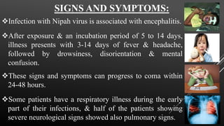 SIGNS AND SYMPTOMS:
Infection with Nipah virus is associated with encephalitis.
After exposure & an incubation period of 5 to 14 days,
illness presents with 3-14 days of fever & headache,
followed by drowsiness, disorientation & mental
confusion.
These signs and symptoms can progress to coma within
24-48 hours.
Some patients have a respiratory illness during the early
part of their infections, & half of the patients showing
severe neurological signs showed also pulmonary signs.
 