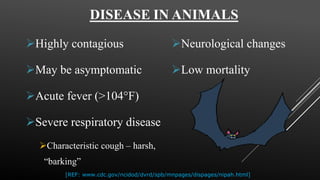 Highly contagious
May be asymptomatic
Acute fever (>104°F)
Severe respiratory disease
Characteristic cough – harsh,
“barking”
Neurological changes
Low mortality
[REF: www.cdc.gov/ncidod/dvrd/spb/mnpages/dispages/nipah.html]
 