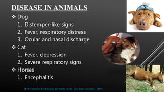 DISEASE IN ANIMALS
 Dog
1. Distemper-like signs
2. Fever, respiratory distress
3. Ocular and nasal discharge
 Cat
1. Fever, depression
2. Severe respiratory signs
 Horses
1. Encephalitis
[REF: Center for Food Security and Public Health Iowa State University – 2005]
 