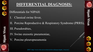 DIFFERENTIAL DIAGNOSIS:
Differentials for NIPAH:
I. Classical swine fever,
II. Porcine Reproductive & Respiratory Syndrome (PRRS),
III. Pseudorabies,
IV.Swine enzootic pneumoniae,
V. Porcine pleuropneumonia
[REF: http://www.who.int/csr/don/archive/disease/nipah_virus/en/]
 