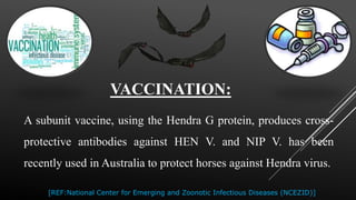 A subunit vaccine, using the Hendra G protein, produces cross-
protective antibodies against HEN V. and NIP V. has been
recently used in Australia to protect horses against Hendra virus.
VACCINATION:
[REF:National Center for Emerging and Zoonotic Infectious Diseases (NCEZID)]
 