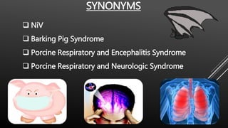 SYNONYMS
 NiV
 Barking Pig Syndrome
 Porcine Respiratory and Encephalitis Syndrome
 Porcine Respiratory and Neurologic Syndrome
 