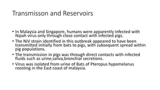 Transmisson and Reservoirs
• In Malaysia and Singapore, humans were apparently infected with
Nipah virus only through close contact with infected pigs.
• The NiV strain identified in this outbreak appeared to have been
transmitted initially from bats to pigs, with subsequent spread within
pig populations.
• The transmission in pigs was through direct contacts with infected
fluids such as urine,saliva,bronchial secretions.
• Virus was isolated from urine of Bats of Pteropus hypomelanus
roosting in the East coast of malaysia.
 