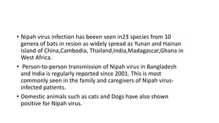 • Nipah virus infection has beeen seen in23 species from 10
genera of bats in resion as widely spread as Yunan and Hainan
island of China,Cambodia, Thailand,India,Madagascar,Ghana in
West Africa.
• Person-to-person transmission of Nipah virus in Bangladesh
and India is regularly reported since 2001. This is most
commonly seen in the family and caregivers of Nipah virus-
infected patients.
• Domestic animals such as cats and Dogs have also shown
positive for Nipah virus.
 