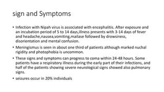 sign and Symptoms
• Infection with Nipah virus is associated with encephalitis. After exposure and
an incubation period of 5 to 14 days,illness presents with 3-14 days of fever
and headache,nausea,vomiting,mailase followed by drowsiness,
disorientation and mental confusion.
• Meningismus is seen in about one third of patients although marked nuchal
rigidity and photophobia is uncommon.
• These signs and symptoms can progress to coma within 24-48 hours. Some
patients have a respiratory illness during the early part of their infections, and
half of the patients showing severe neurological signs showed also pulmonary
signs.
• seizures occur in 20% individuals
 
