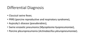 Differential Diagnosis
• Classical swine fever,
• PRRS (porcine reproductive and respiratory syndrome),
• Aujeszky’s disease (pseudorabies),
• Swine enzootic pneumonia (Mycoplasma hyopneumoniae),
• Porcine pleuropneumonia (Actinobacillus pleuropneumoniae).
 