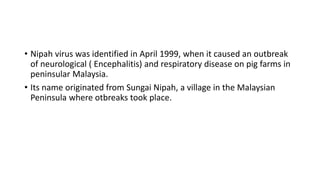 • Nipah virus was identified in April 1999, when it caused an outbreak
of neurological ( Encephalitis) and respiratory disease on pig farms in
peninsular Malaysia.
• Its name originated from Sungai Nipah, a village in the Malaysian
Peninsula where otbreaks took place.
 