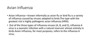 Avian Influenza
• Avian influenza—known informally as avian flu or bird flu is a variety
of influenza caused by viruses adapted to birds.The type with the
greatest risk is highly pathogenic avian influenza (HPAI).
• Out of the three types of influenza viruses (A, B, and C), influenza A
virus is a zoonotic infection with a natural reservoir almost entirely in
birds.Avian influenza, for most purposes, refers to the influenza A
virus.
 
