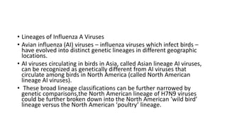 • Lineages of Influenza A Viruses
• Avian influenza (AI) viruses – influenza viruses which infect birds –
have evolved into distinct genetic lineages in different geographic
locations.
• AI viruses circulating in birds in Asia, called Asian lineage AI viruses,
can be recognized as genetically different from AI viruses that
circulate among birds in North America (called North American
lineage AI viruses).
• These broad lineage classifications can be further narrowed by
genetic comparisons,the North American lineage of H7N9 viruses
could be further broken down into the North American ‘wild bird’
lineage versus the North American ‘poultry’ lineage.
 