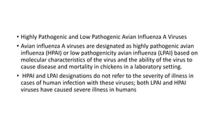 • Highly Pathogenic and Low Pathogenic Avian Influenza A Viruses
• Avian influenza A viruses are designated as highly pathogenic avian
influenza (HPAI) or low pathogenicity avian influenza (LPAI) based on
molecular characteristics of the virus and the ability of the virus to
cause disease and mortality in chickens in a laboratory setting.
• HPAI and LPAI designations do not refer to the severity of illness in
cases of human infection with these viruses; both LPAI and HPAI
viruses have caused severe illness in humans
 