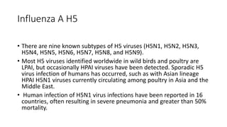 Influenza A H5
• There are nine known subtypes of H5 viruses (H5N1, H5N2, H5N3,
H5N4, H5N5, H5N6, H5N7, H5N8, and H5N9).
• Most H5 viruses identified worldwide in wild birds and poultry are
LPAI, but occasionally HPAI viruses have been detected. Sporadic H5
virus infection of humans has occurred, such as with Asian lineage
HPAI H5N1 viruses currently circulating among poultry in Asia and the
Middle East.
• Human infection of H5N1 virus infections have been reported in 16
countries, often resulting in severe pneumonia and greater than 50%
mortality.
 
