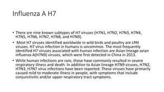 Influenza A H7
• There are nine known subtypes of H7 viruses (H7N1, H7N2, H7N3, H7N4,
H7N5, H7N6, H7N7, H7N8, and H7N9).
• Most H7 viruses identified worldwide in wild birds and poultry are LPAI
viruses. H7 virus infection in humans is uncommon. The most frequently
identified H7 viruses associated with human infection are Asian lineage avian
influenza A(H7N9) viruses, which were first detected in China in 2013.
• While human infections are rare, these have commonly resulted in severe
respiratory illness and death. In addition to Asian lineage H7N9 viruses, H7N2,
H7N3, H7N7 virus infections have been reported. These viruses have primarily
caused mild to moderate illness in people, with symptoms that include
conjunctivitis and/or upper respiratory tract symptoms.
 