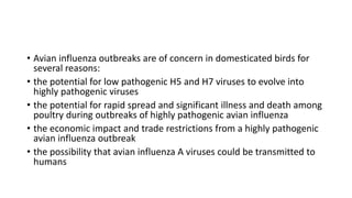 • Avian influenza outbreaks are of concern in domesticated birds for
several reasons:
• the potential for low pathogenic H5 and H7 viruses to evolve into
highly pathogenic viruses
• the potential for rapid spread and significant illness and death among
poultry during outbreaks of highly pathogenic avian influenza
• the economic impact and trade restrictions from a highly pathogenic
avian influenza outbreak
• the possibility that avian influenza A viruses could be transmitted to
humans
 