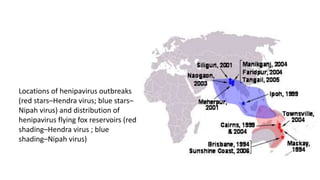 Locations of henipavirus outbreaks
(red stars–Hendra virus; blue stars–
Nipah virus) and distribution of
henipavirus flying fox reservoirs (red
shading–Hendra virus ; blue
shading–Nipah virus)
 