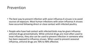 Prevention
• The best way to prevent infection with avian influenza A viruses is to avoid
sources of exposure. Most human infections with avian influenza A viruses
have occurred following direct or close contact with infected poultry.
• People who have had contact with infected birds may be given influenza
antiviral drugs preventatively. While antiviral drugs are most often used to
treat influenza, they also can be used to prevent infection in someone who
has been exposed to influenza viruses. When used to prevent seasonal
influenza, antiviral drugs are 70% to 90% effective.
 
