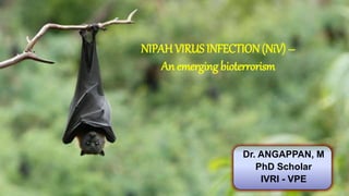 NIPAH VIRUS InfectionNIPAHVIRUSINFECTION(NiV) –
An emerging bioterrorism
Dr. ANGAPPAN, M
PhD Scholar
IVRI - VPE
 