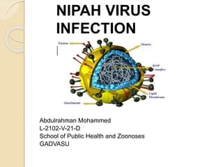 NIPAH VIRUS 
INFECTION 
N 
Abdulrahman Mohammed 
L-2102-V-21-D 
School of Public Health and Zoonoses 
GADVASU 
 
