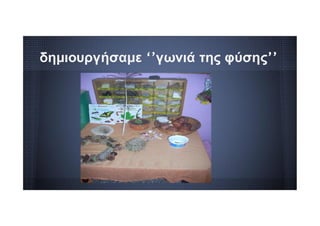 δημιουργήσαμε ‘’γωνιά της φύσης’’
 