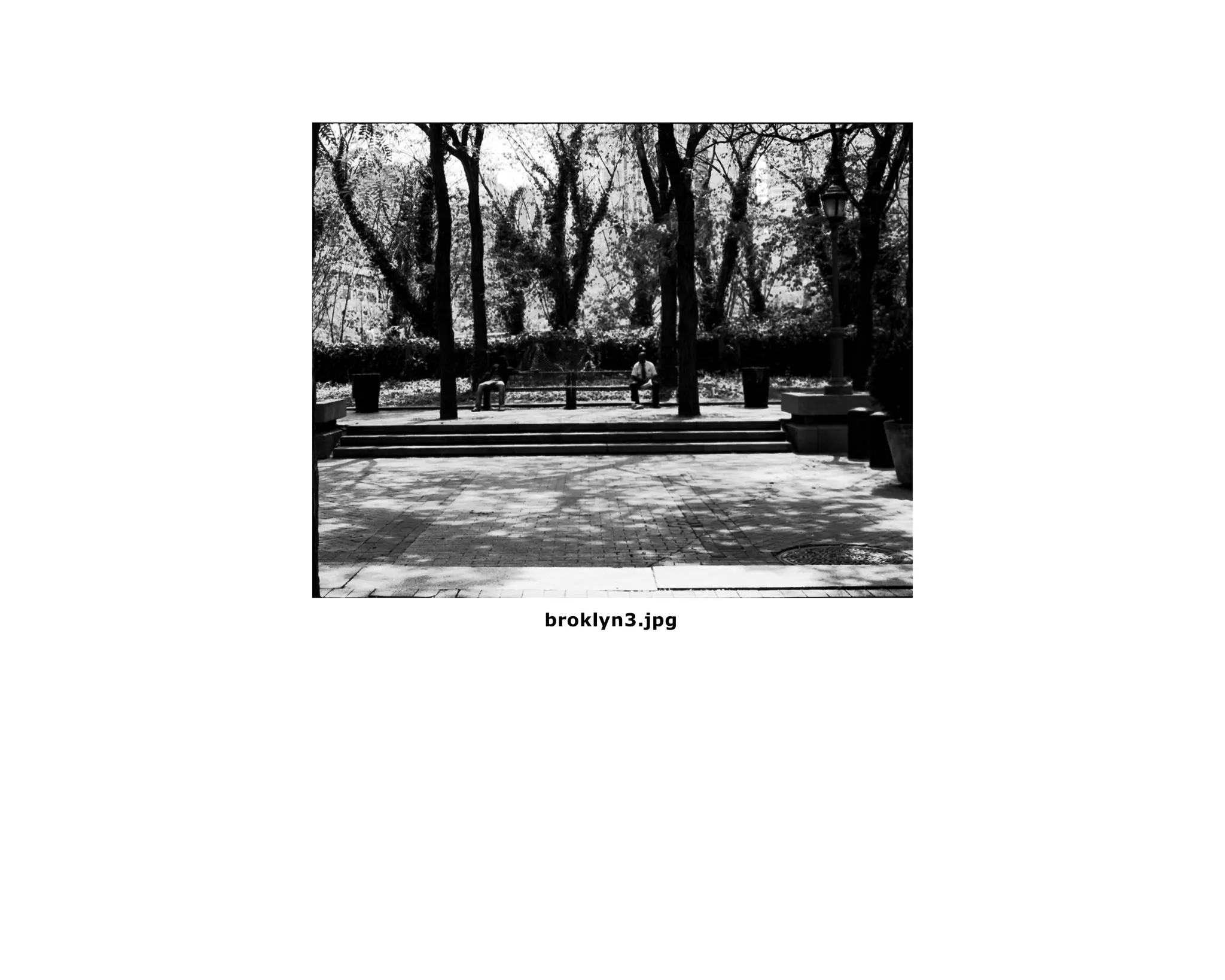 broklyn3.jpg
 