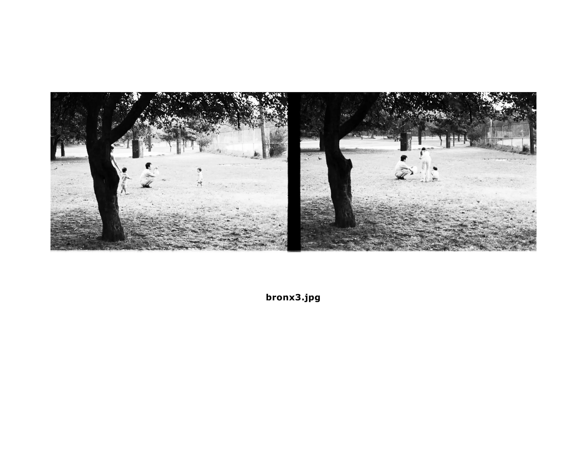 bronx3.jpg
 