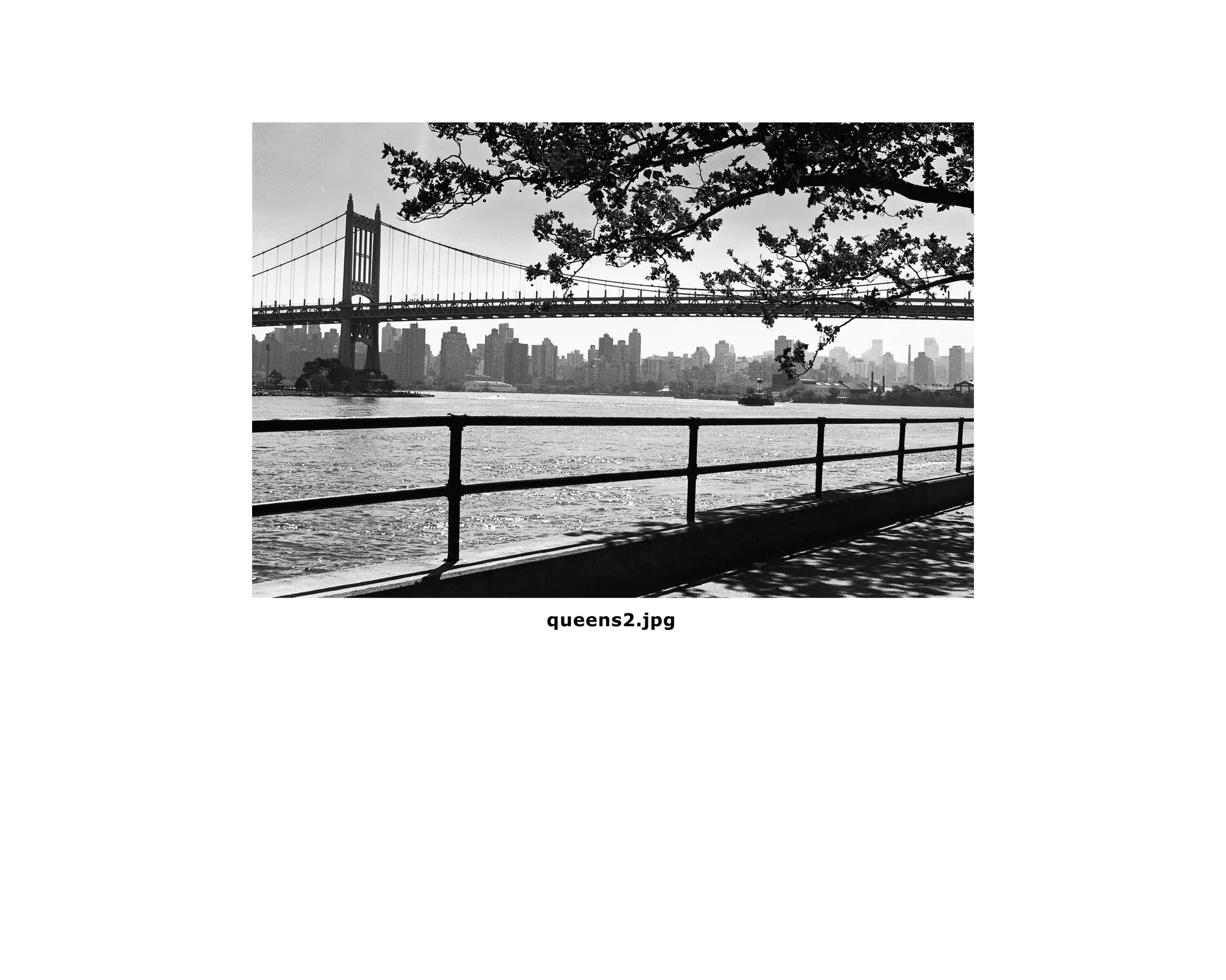 queens2.jpg
 