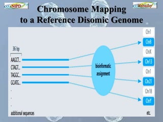 Chromosome Mapping 
to a Reference Disomic Genome 
 