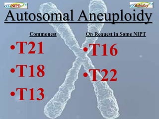 Autosomal Aneuploidy 
Commonest 
•T21 
•T18 
•T13 
On Request in Some NIPT 
•T16 
•T22 
 