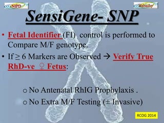 SensiGene- SNP 
• Fetal Identifier (FI) control is performed to 
Compare M/F genotype. 
• If ≥ 6 Markers are Observed  Verify True 
RhD-ve ♀ Fetus: 
o No Antenatal RhIG Prophylaxis . 
o No Extra M/F Testing (± Invasive) 
RCOG 2014 
 