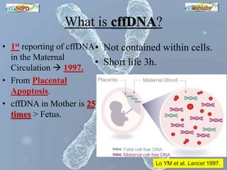 What is cffDNA? 
• 1st reporting of cffDNA 
in the Maternal 
Circulation  1997. 
• From Placental 
Apoptosis. 
• cffDNA in Mother is 25 
times > Fetus. 
• Not contained within cells. 
• Short life 3h. 
Lo YM et al. Lancet 1997. 
 