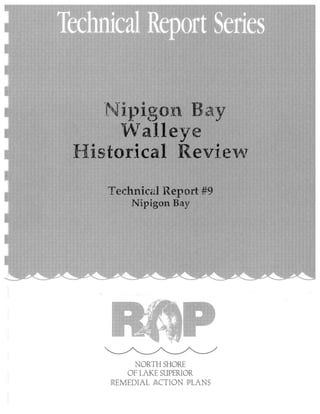 Nipigon Bay Walleye Historical Review