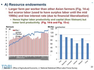 Transformation of the Thai agriculture in the last three decades