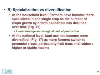Transformation of the Thai agriculture in the last three decades