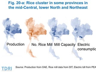 Transformation of the Thai agriculture in the last three decades