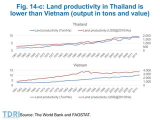 Transformation of the Thai agriculture in the last three decades