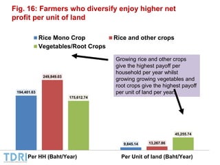 Transformation of the Thai agriculture in the last three decades