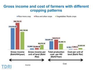 Transformation of the Thai agriculture in the last three decades