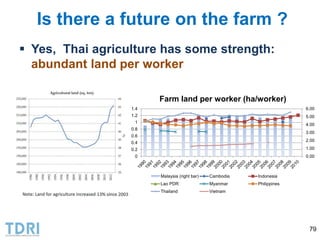Transformation of the Thai agriculture in the last three decades