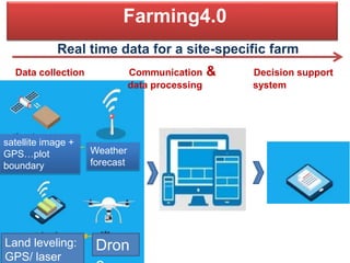 Transformation of the Thai agriculture in the last three decades