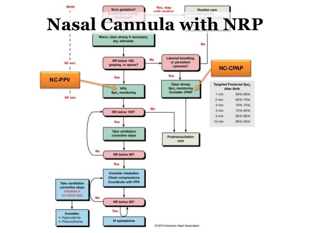 non invasive ventilation for preterm infants ram cannula size chart