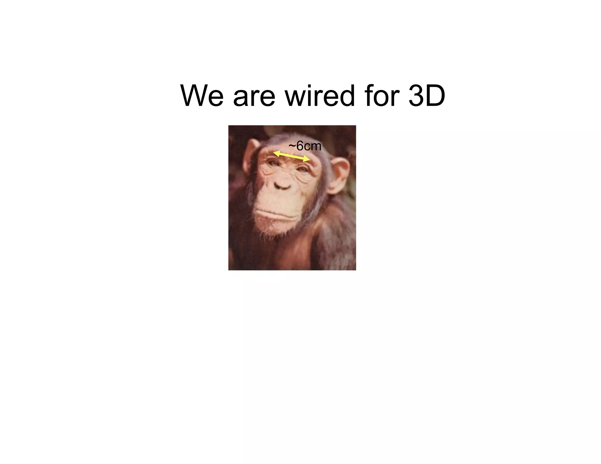 We are wired for 3D
       ~6cm
 