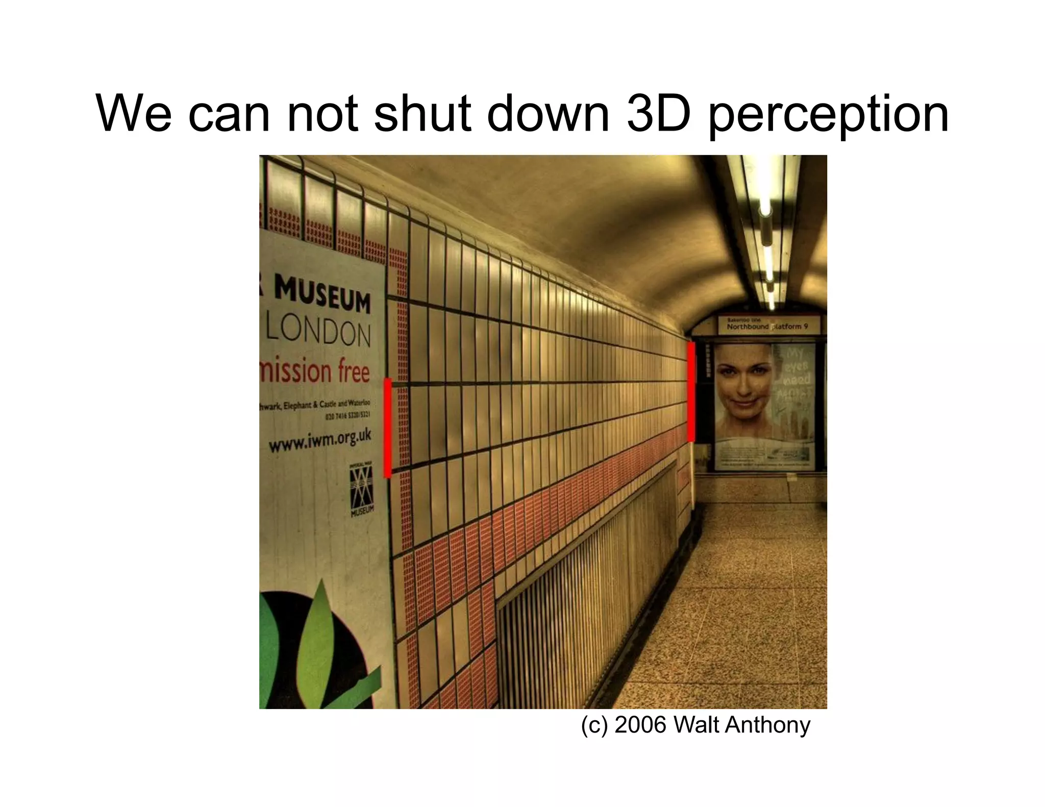We can not shut down 3D perception




                   (c) 2006 Walt Anthony
 