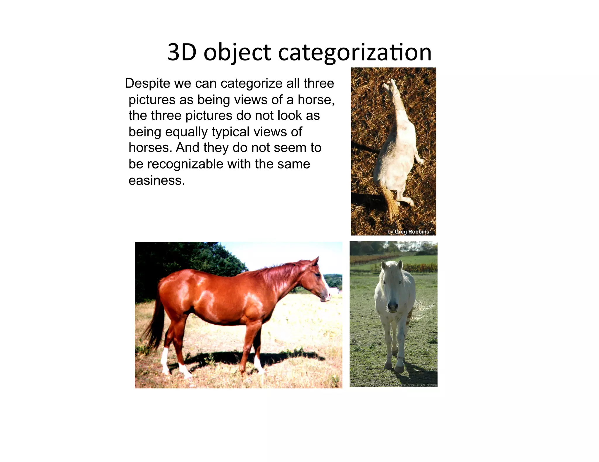 3D object categorizaPon 
Despite we can categorize all three
pictures as being views of a horse,
the three pictures do not look as
being equally typical views of
horses. And they do not seem to
be recognizable with the same
easiness.


                                      by Greg Robbins
 
