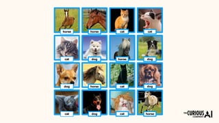dog
dog
cat
horse horse
dog
cat
cat cat
horse dog
horse cat
horsecatdog
 