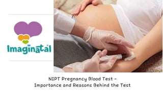 NIPT Pregnancy Blood Test -
Importance and Reasons Behind the Test
 