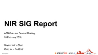 2018#apricot2018 45
NIR SIG Report
APNIC Annual General Meeting
28 February 2018
Shyam Nair - Chair
Zhen Yu – Co-Chair
 