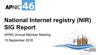 #apnic46 46
46
#apnic46#
NOUMEA,
NEW CALEDONIA
6 – 13 September 2018
National Internet registry (NIR)
SIG Report
APNIC Annual Member Meeting
13 September 2018
 
