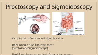 Procto Intestine Large intestine Rectum anatomy PPT.pptx