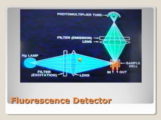 FFlluuoorreesscceennccee DDeetteeccttoorr 
 